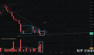 包含开发者社区动态显示，数字货币迎来新一轮爆发的词条