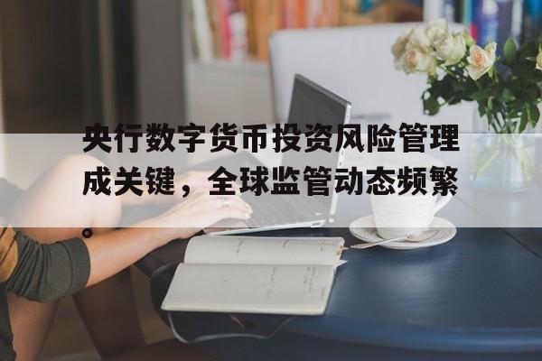 平博体育-央行数字货币投资风险管理成关键，全球监管动态频繁。的简单介绍