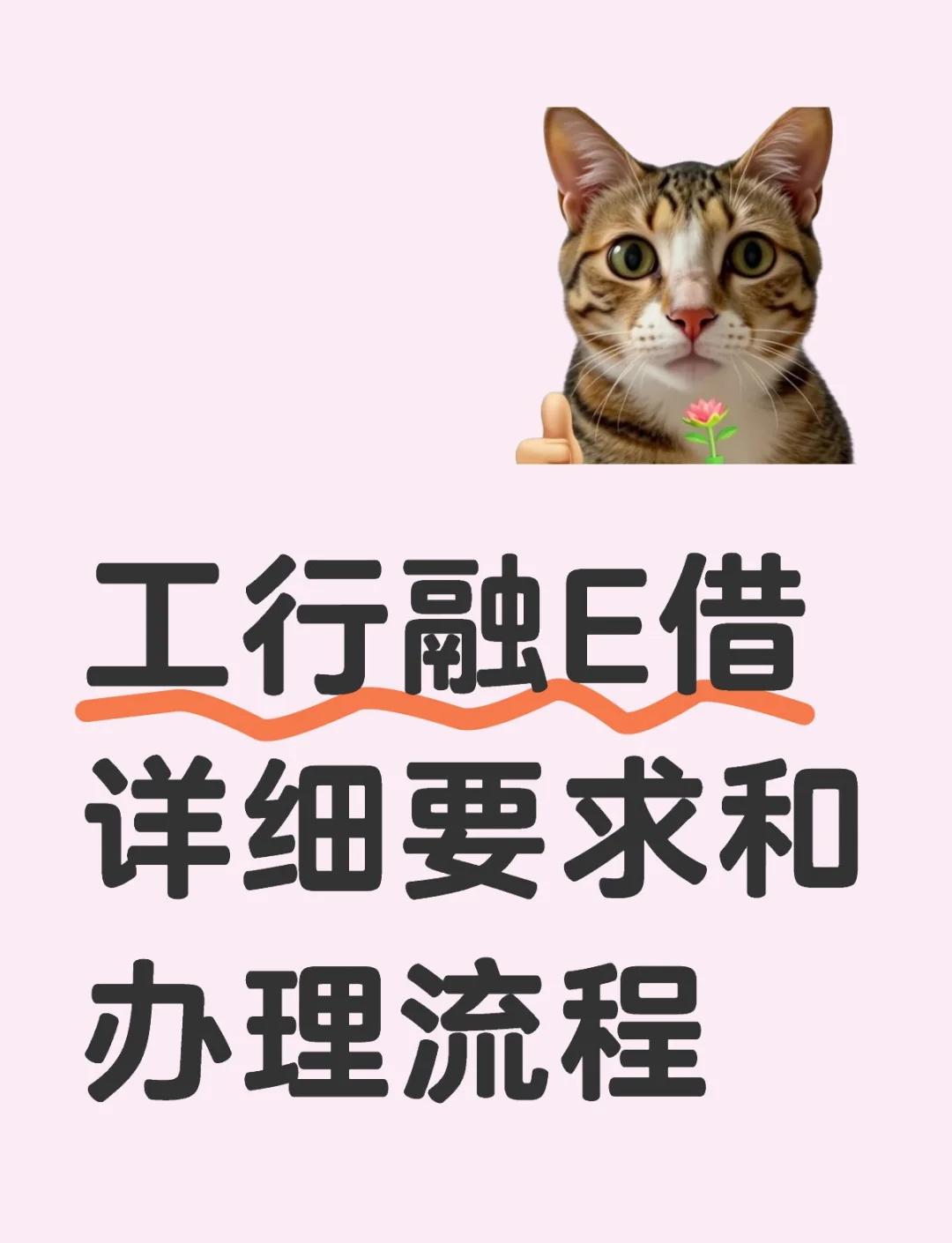 区块链项目融资投资风险管理成关键，投资风险不容忽视。