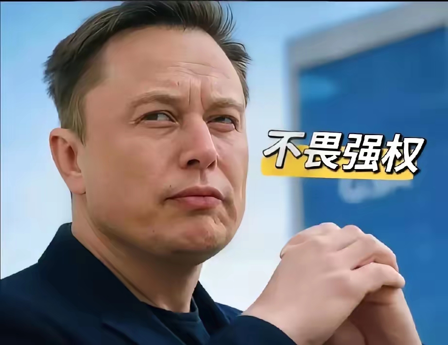 Pinnacle体育-马斯克再次发推，TON瞬间上上扬SEC%！的简单介绍
