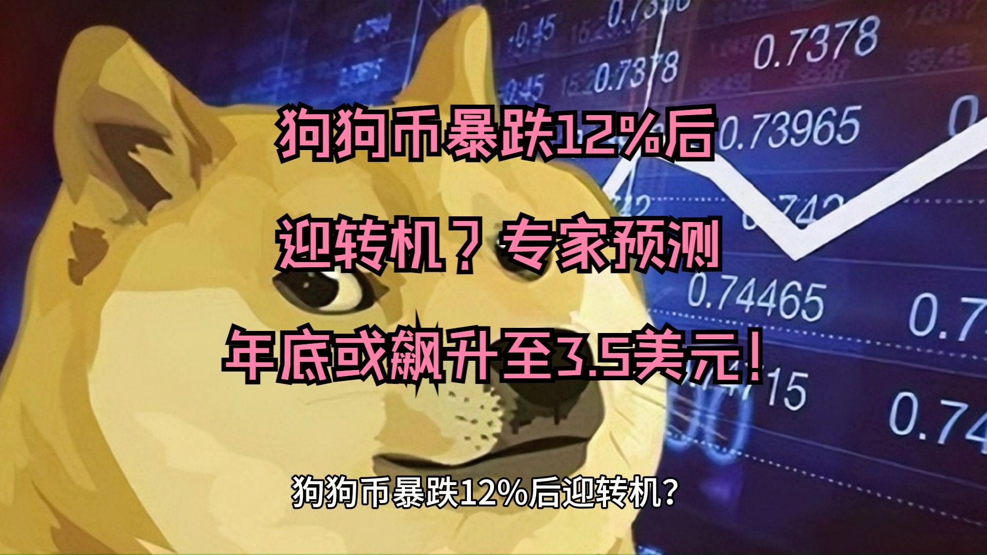 狗狗币冲破369美元大关，牛市是否已来临？