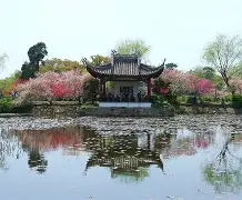 平博登录-江南黑豹队对阵东海鲸鲨队，体操半决赛爆冷，门将神扑救主——定海神针仍在